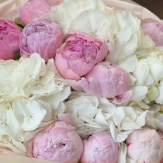 Bouquet with peonies and hydrangeas photo