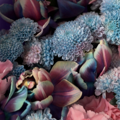 Букет цветов "Blue Petal Kiss" buketland.ua Букет цветов "Blue Petal Kiss" фото