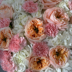 Букет квітів "Soft Apricot" фото