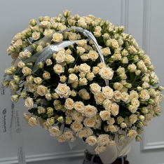 Композиция в корзине из 101 кремовой кустовой розы фото