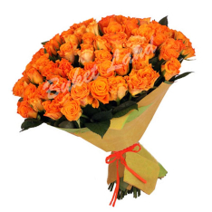 101 помаранчева троянда Wow фото
