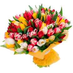 101 тюльпан мікс в асортименті 