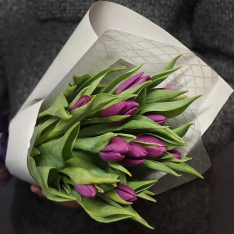 11 фіолетових тюльпанів фото