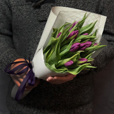 11 purple tulips photo