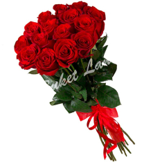 11 красных голландских роз фото