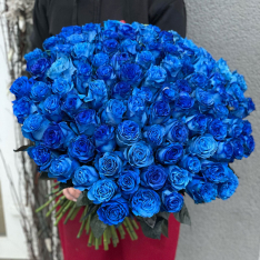 101 голландских синих роз 60 см фото
