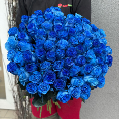 77 голландских синих роз 60 см фото