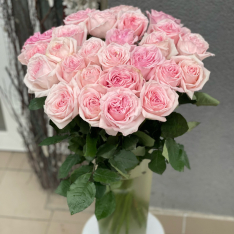 Эквадорская роза Пинк Охара 60 см фото