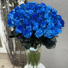 Голландська синя троянда 60 см фото