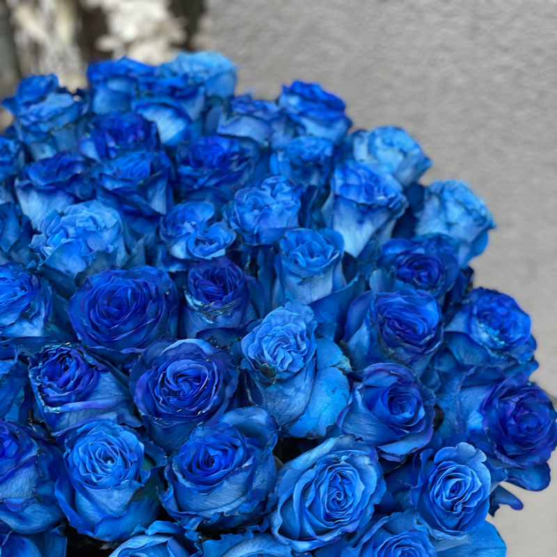 画材 BLUE ROSE Metalic Blue - Bellaflor Group Ecuador