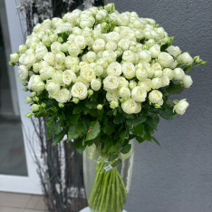 Кустовая пионовидная роза Сноу Ворлд 60 см фото