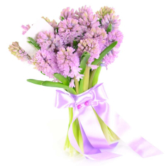 15 hyacinths in assortment photo