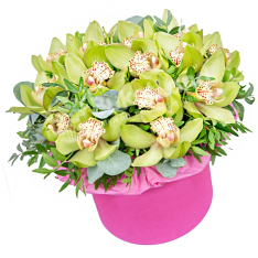15 орхідей в капелюшній коробці фото