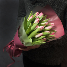 15 pink tulips photo