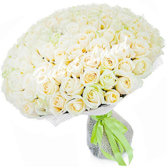 151 біла троянда Avalanche 60 см фото