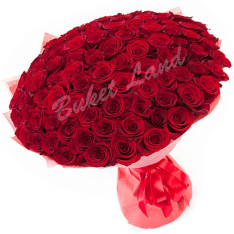 151 красная роза Гран При 60 см фото