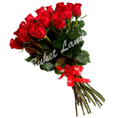 17 красных голландских роз фото