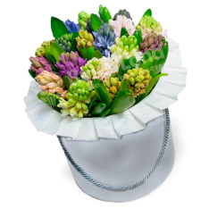 19 hyacinth mix in a hat box photo