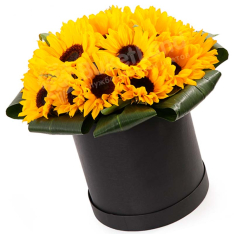 25 sunflowers in a hat box photo