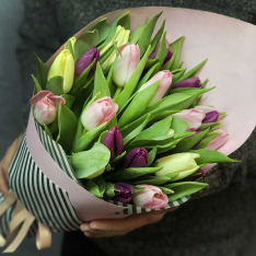 25 тюльпанов микс (3 цвета) фото