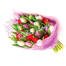 29 тюльпанів мікс в асортименті 
