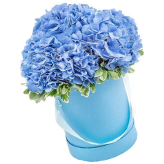 3 blue hydrangeas in a hat box photo