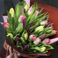 33 tulip mix (3 colors) photo