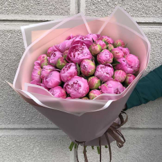 39 розовых пионов фото