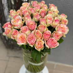 Троянда Фієста 60 см фото