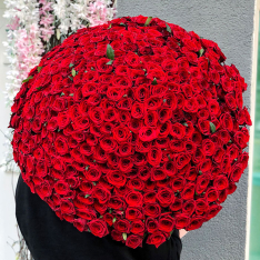 301 красная роза 70 см фото