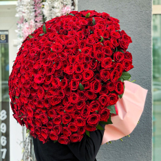301 червона троянда 70 см фото