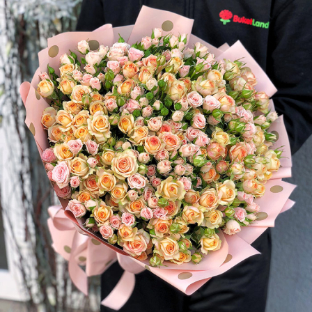 51 кущова троянда мікс 60 см фото