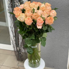 Ecuadorian rose 80 cm in stock photo