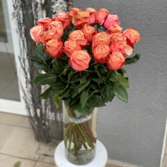 Голландская пионовидная роза Кахала  фото