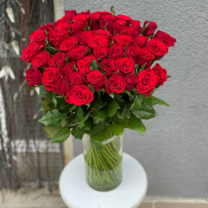 Красная роза 50 см фото