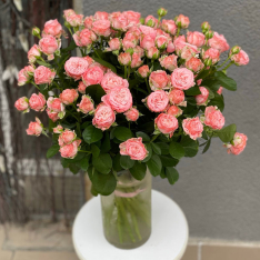  Кущова піоноподібна троянда Мадам Бомбастік 50-60 см фото