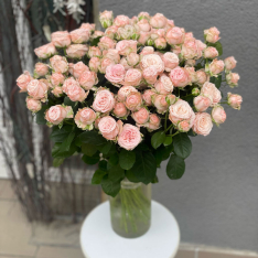 Кустовая пионовидная роза Бомбастик 50-60 см фото