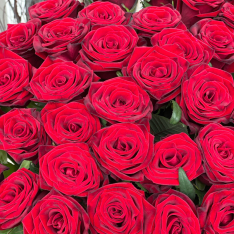 Роза червона Гран Прі 80 см фото