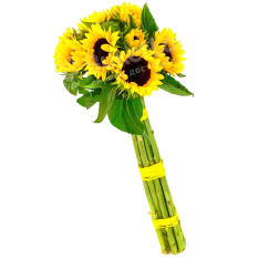 Bouquet of 19 sunflowers photo