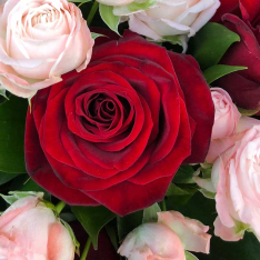 Bouquet of flowers "Duet" buketland.ua Bouquet of flowers "Duet" photo