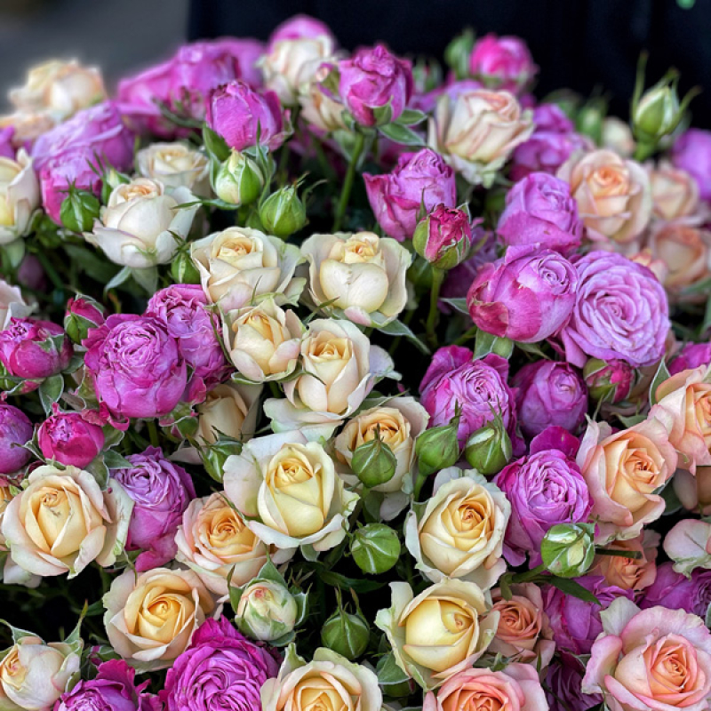 101 кустовая Роза микс в шляпной коробке - цветы с доставкой Buketland