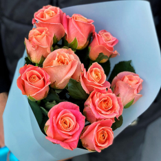 11 троянд Міс Піггі фото