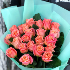 25 троянд Міс Піггі фото
