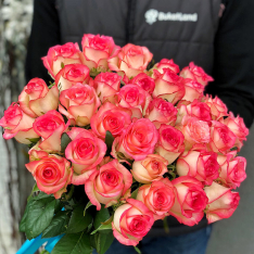 33 розы Джумилия фото