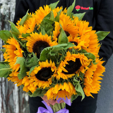 Bouquet of 25 sunflowers photo