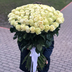 101 біла голландська троянда Mondial / White Chocolate фото