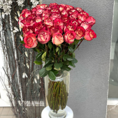  Еквадорська троянда Ігуазу 80 см фото