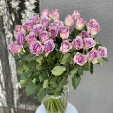 Фиолетовая голландская роза фото