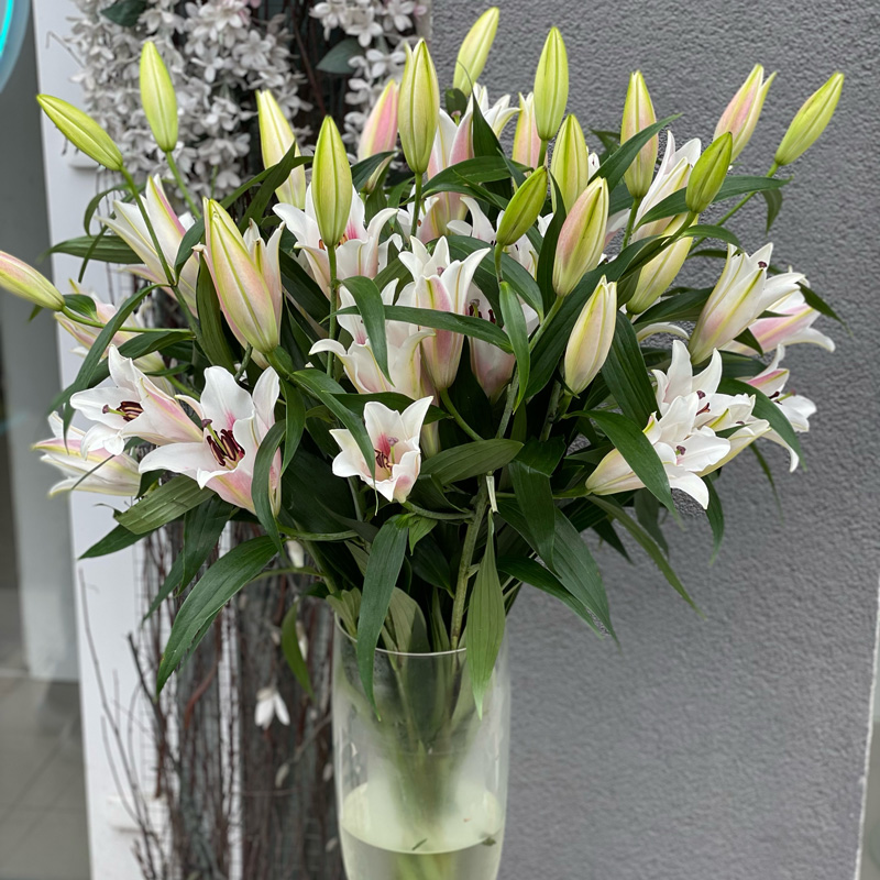 Заказать букет лилий в ассортименте — стиль и нежность
