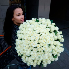 151 біла троянда 60 см фото